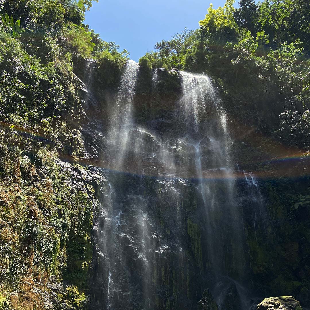 Charco Prieto